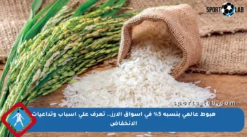 هبوط عالمي بنسبة 5% في أسواق الأرز.. تعرف على أسباب وتداعيات الانخفاض